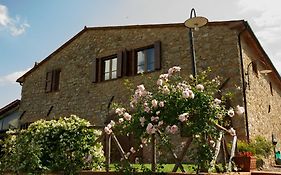 Agriturismo & Cantina Tenuta Casteani